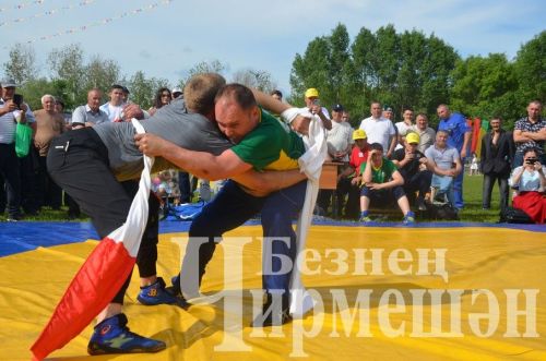 Чирмешәндә Сабан туе-2024: милли көрәш (ФОТОРЕПОРТАЖ)
