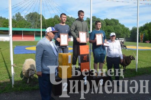 Чирмешәндә Сабан туе-2024: милли көрәш (ФОТОРЕПОРТАЖ)