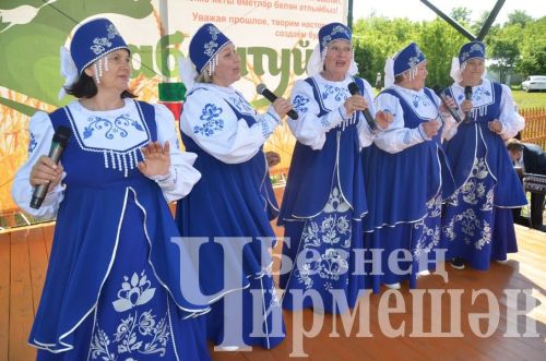 Чирмешәндә Сабан туе-2024: милли көрәш (ФОТОРЕПОРТАЖ)