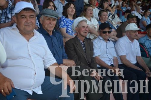 Чирмешәндә Сабан туе-2024: милли көрәш (ФОТОРЕПОРТАЖ)