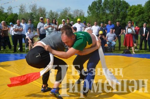 Чирмешәндә Сабан туе-2024: милли көрәш (ФОТОРЕПОРТАЖ)