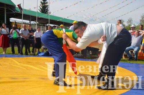 Чирмешәндә Сабан туе-2024: милли көрәш (ФОТОРЕПОРТАЖ)