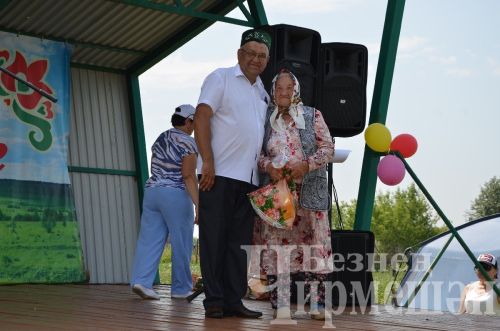 Лашмандагы Авыл көне бәйрәмендә кызлар да көрәште (ФОТОРЕПОРТАЖ)