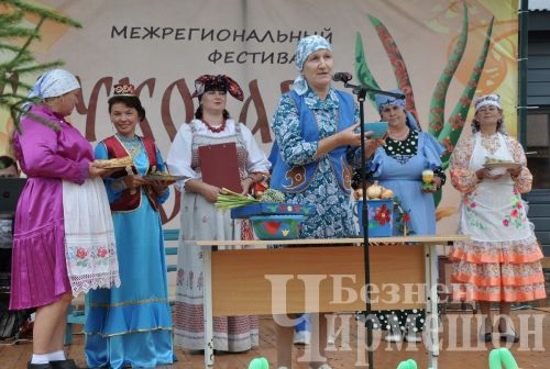 В Черемшане прошел межрегиональный фестиваль "Луковая долина" (ФОТОРЕПОРТАЖ)