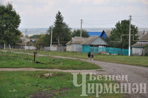 Лагерка авылыннан - 40 фото (ФОТОРЕПОРТАЖ)