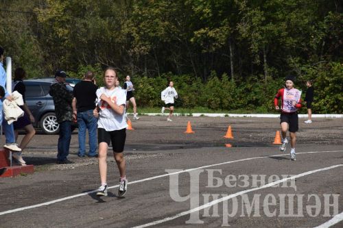 Чирмешәндә "Татарстан кроссы-2024" ярышларында 500дән күбрәк йөгерүче катнашты (ФОТОРЕПОРТАЖ)