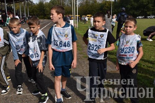 Чирмешәндә "Татарстан кроссы-2024" ярышларында 500дән күбрәк йөгерүче катнашты (ФОТОРЕПОРТАЖ)