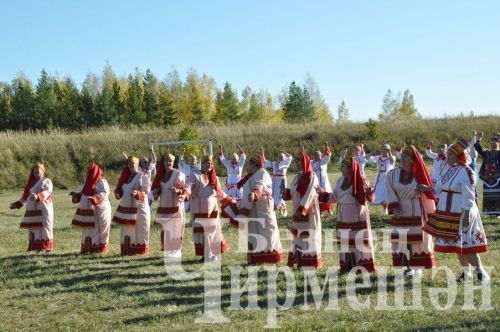 В Черемшане собрались историки  (ФОТОРЕПОРТАЖ)