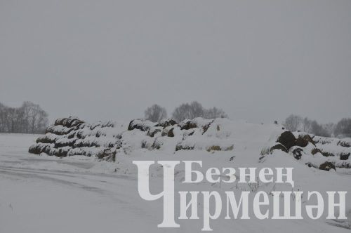 Чирмешән районнында беренче халык җыены Иске Котышта үтте (ФОТОРЕПОРТАЖ)