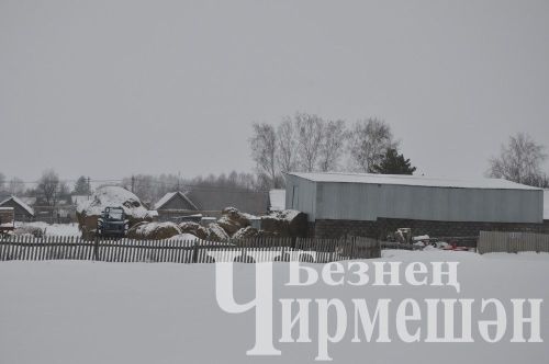 Чирмешән районнында беренче халык җыены Иске Котышта үтте (ФОТОРЕПОРТАЖ)