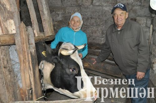 В селе Верхняя Каменка прошел сход граждан (ФОТОРЕПОРТАЖ)