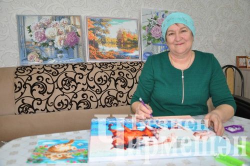 В селе Верхняя Каменка прошел сход граждан (ФОТОРЕПОРТАЖ)