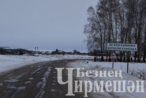 В селе Верхняя Каменка прошел сход граждан (ФОТОРЕПОРТАЖ)