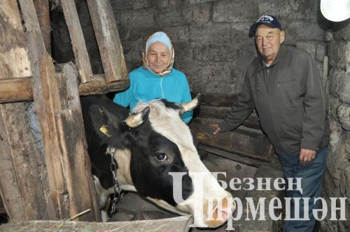 Югары Кәминкә авыл җирлегендә халык җыены үтте (ФОТОРЕПОРТАЖ)
