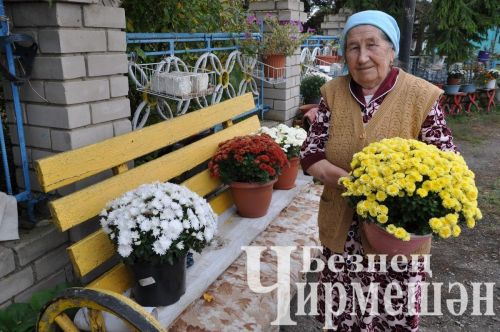 В селе Верхняя Каменка прошел сход граждан (ФОТОРЕПОРТАЖ)