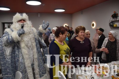 Ветеранов Черемшанского района пригласили на Новогодний праздник (ФОТОРЕПОРАЖ)