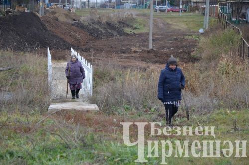В Амирове у белого моста посадили 60 берез