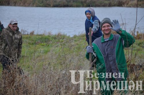В Амирове у белого моста посадили 60 берез