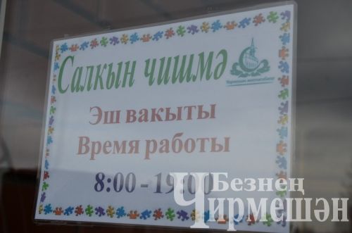 В Черемшане в центральной мечети открыли родник "Салкын чишмэ"