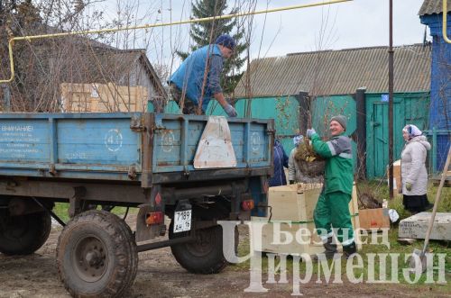 В Амирове у белого моста посадили 60 берез