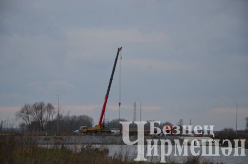 В Амирове у белого моста посадили 60 берез