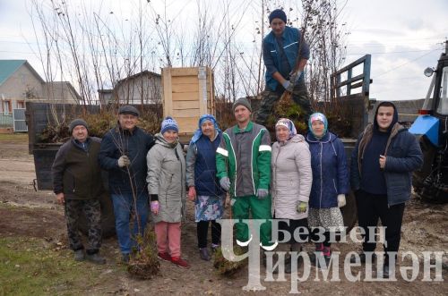 В Амирове у белого моста посадили 60 берез