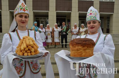В Черемшане прошло заседание местного отделения Всемирного конгресса татар (ФОТОРЕПОРТАЖ)