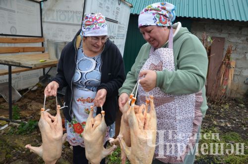 В хозяйстве Альфии Хисамовой из Старого Кадеева прошел праздник гусиного пера (ФОТОРЕПОРТАЖ)