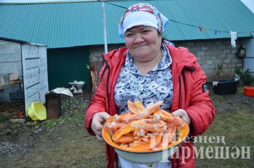В хозяйстве Альфии Хисамовой из Старого Кадеева прошел праздник гусиного пера (ФОТОРЕПОРТАЖ)