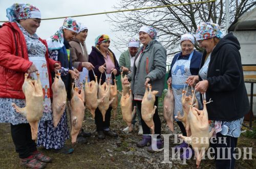 В хозяйстве Альфии Хисамовой из Старого Кадеева прошел праздник гусиного пера (ФОТОРЕПОРТАЖ)