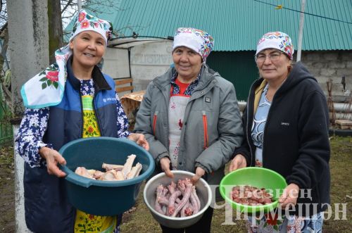 В хозяйстве Альфии Хисамовой из Старого Кадеева прошел праздник гусиного пера (ФОТОРЕПОРТАЖ)
