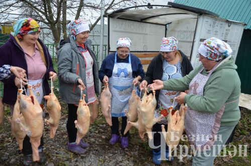 В хозяйстве Альфии Хисамовой из Старого Кадеева прошел праздник гусиного пера (ФОТОРЕПОРТАЖ)