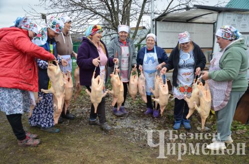 В хозяйстве Альфии Хисамовой из Старого Кадеева прошел праздник гусиного пера (ФОТОРЕПОРТАЖ)
