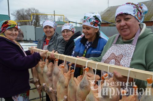 В хозяйстве Альфии Хисамовой из Старого Кадеева прошел праздник гусиного пера (ФОТОРЕПОРТАЖ)