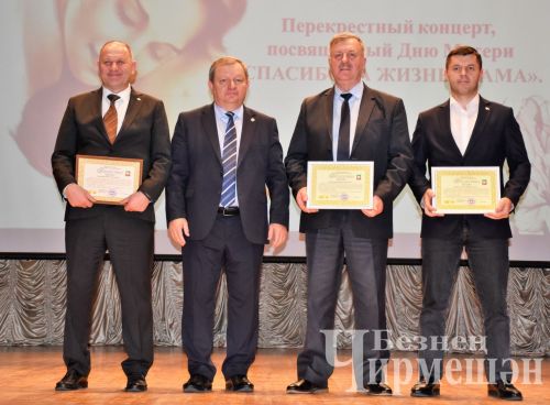 Черемшанские артисты выступили в Нурлате (ФОТОРЕПОРТАЖ)