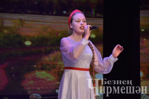 В Черемшане организовали концерт в честь Дня народного единства и Дня Конституции Республики Татарстан