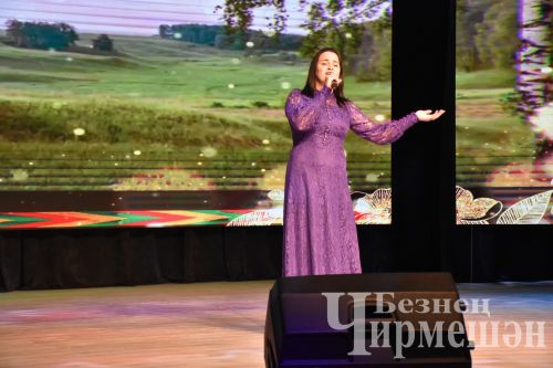 В Черемшане организовали концерт в честь Дня народного единства и Дня Конституции Республики Татарстан