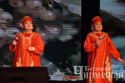 В Черемшане организовали концерт в честь Дня народного единства и Дня Конституции Республики Татарстан