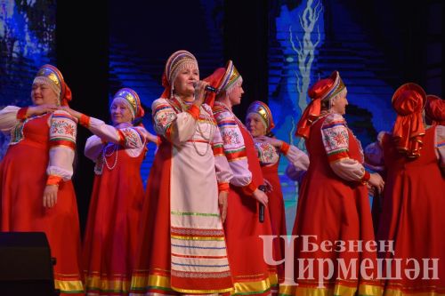 В Черемшане организовали концерт в честь Дня народного единства и Дня Конституции Республики Татарстан