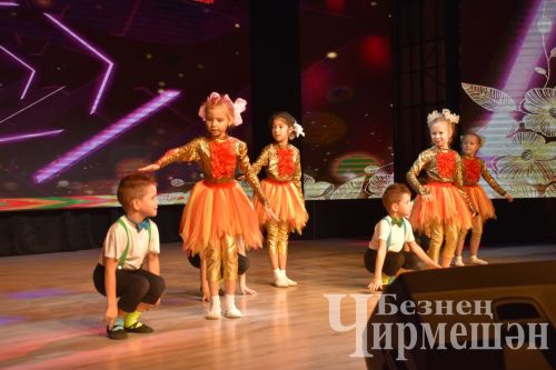 В Черемшане организовали концерт в честь Дня народного единства и Дня Конституции Республики Татарстан
