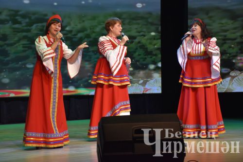 В Черемшане организовали концерт в честь Дня народного единства и Дня Конституции Республики Татарстан