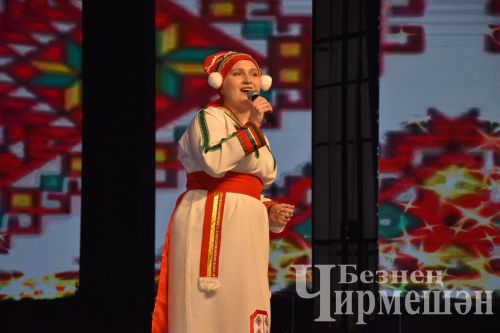 В Черемшане организовали концерт в честь Дня народного единства и Дня Конституции Республики Татарстан