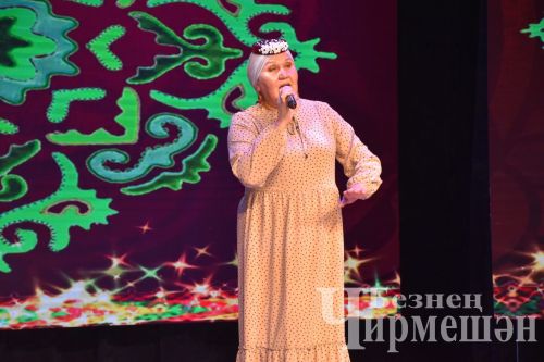 В Черемшане организовали концерт в честь Дня народного единства и Дня Конституции Республики Татарстан