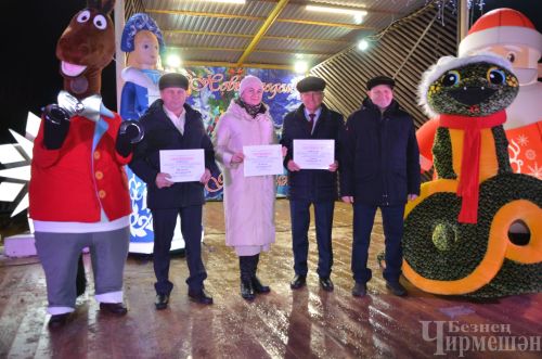 В Черемшане зажгли огни на центральной елке (ФОТОРЕПОРТАЖ)