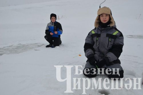 Чирмешән районында үткән балыкчылар ярышыннан 74 фото