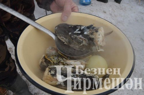 Чирмешән районында үткән балыкчылар ярышыннан 74 фото