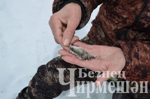 Чирмешән районында үткән балыкчылар ярышыннан 74 фото