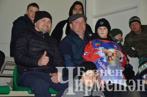 Чирмешәннең "Корыч ябалаклар" хоккейчылары республика беренчелеге ярымфиналына узды (ФОТОРЕПОРТАЖ)