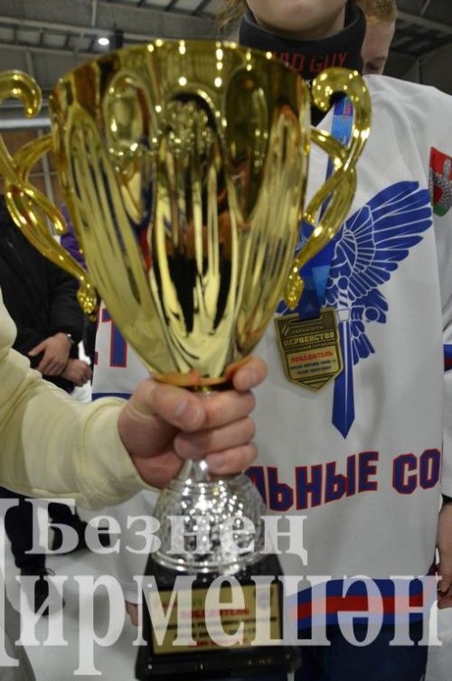 Чирмешәннең "Корыч ябалаклар"ы ТР Беренчелегендә чемпион булды (ФОТОРЕПОРТАЖ)