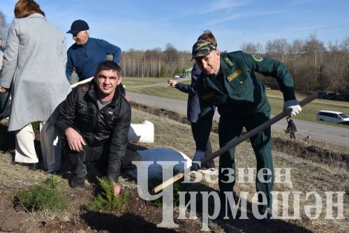 Черемшанцы присоединились к акции "Сад памяти" (ФОТОРЕПОРТАЖ)